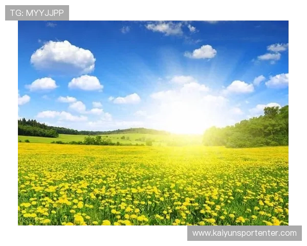 开运体育游戏带来好运气的全新体验，助你开启幸运人生之门